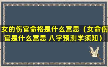 女的伤官命格是什么意思（女命伤官是什么意思 八字预测学须知）